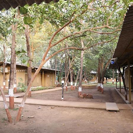 Nature Trails Sajan, Vikramgad Kudān Eksteriør bilde