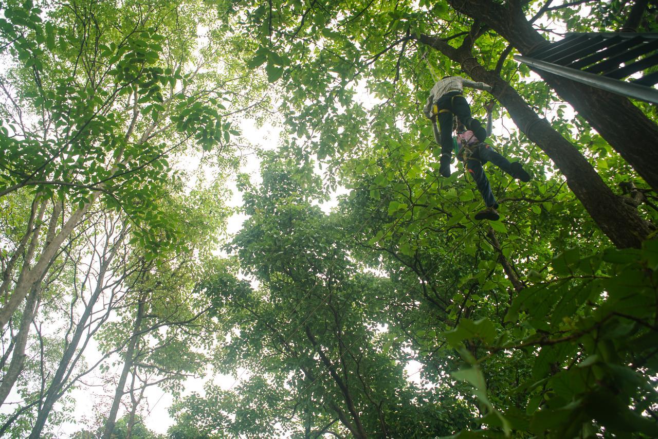 Nature Trails Sajan, Vikramgad Kudān Eksteriør bilde